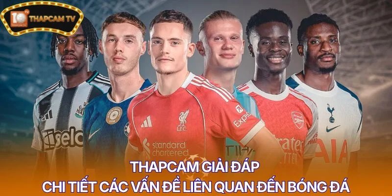 Thapcam giải đáp chi tiết các vấn đề liên quan đến bóng đá