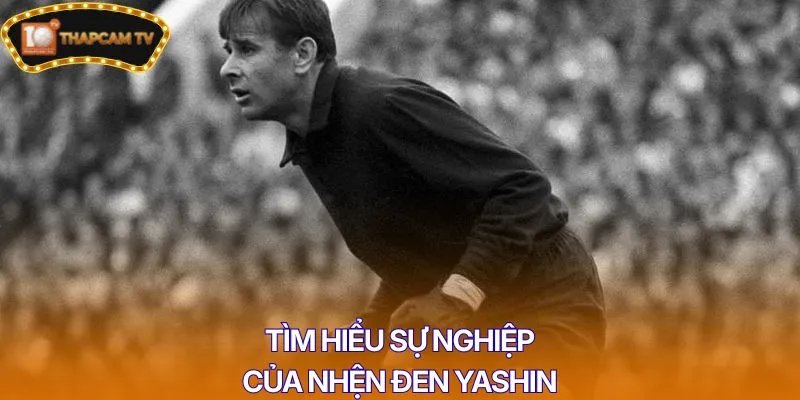 Tìm hiểu sự nghiệp của nhện đen Yashin